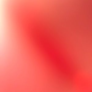 Meet your Posher, Colin